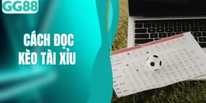 Cách Đọc Kèo Tài Xỉu Bóng Đá Chi Tiết Và Dễ Hiểu Nhất